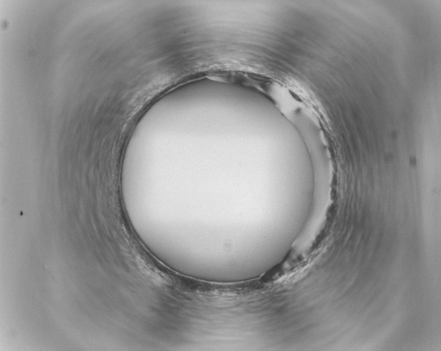 X0000088180481200706051145