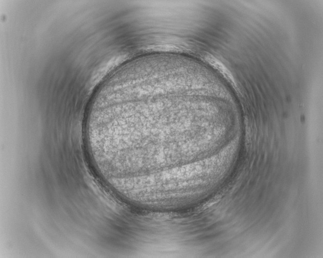 X0000088180482200706051145