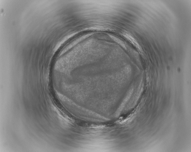 X0000088180484200706051145