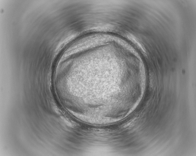 X0000088180486200706051145