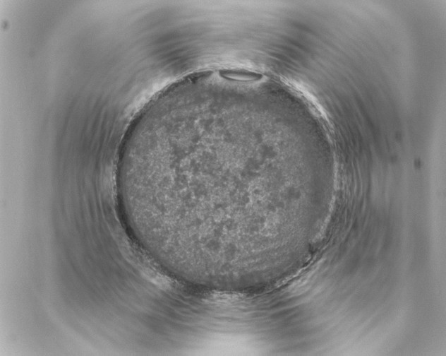 X0000088180487200706051145