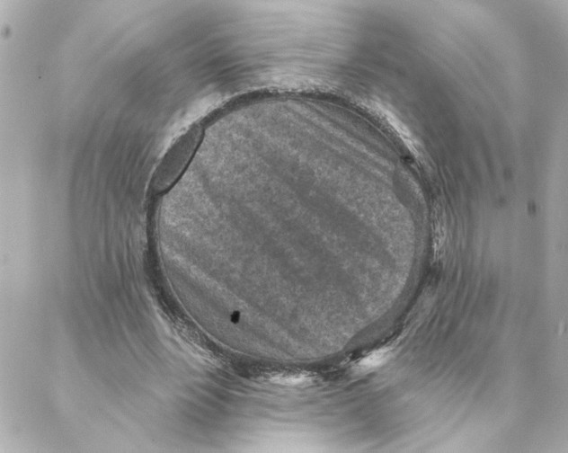 X0000088180488200706051145