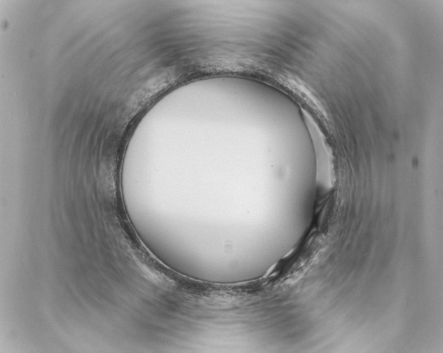 X0000088180489200706051145