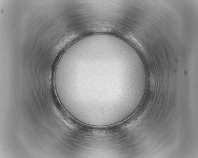 X0000088180490200706051145