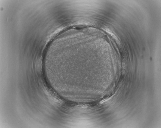 X0000088180492200706051145