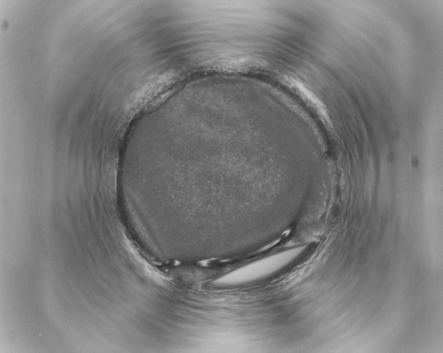 X0000088180493200706051145