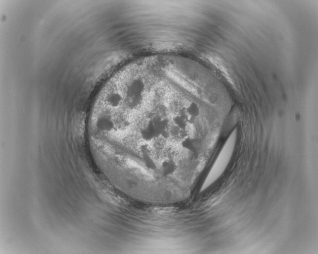 X0000088180495200706051145