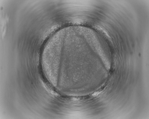 X0000088180496200706051145