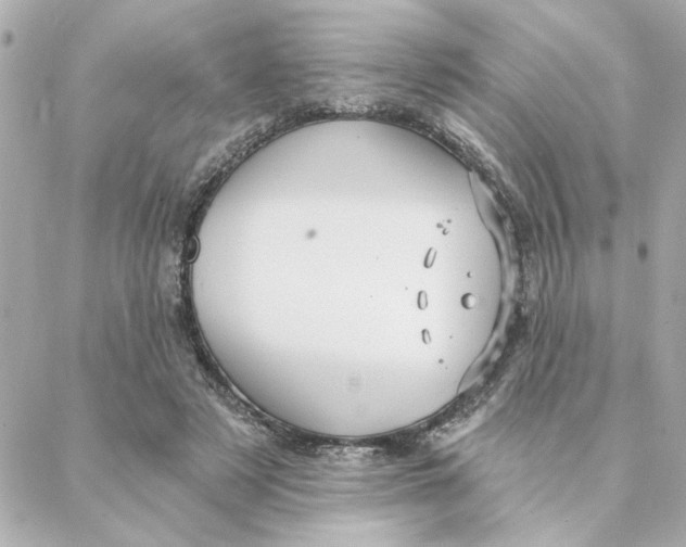 X0000088180497200706051145