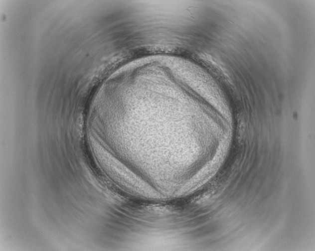 X0000088180498200706051145