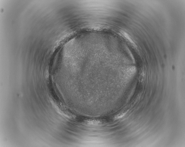 X0000088180500200706051145