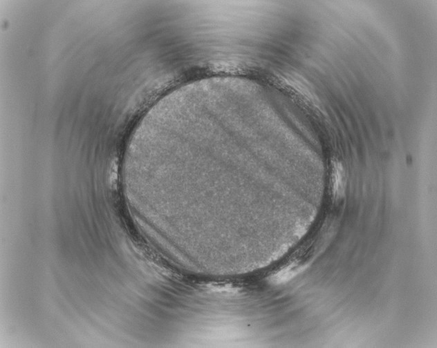 X0000088180502200706051145