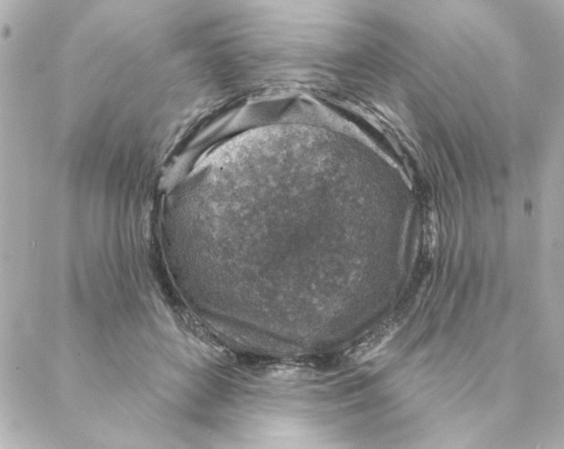 X0000088180504200706051145