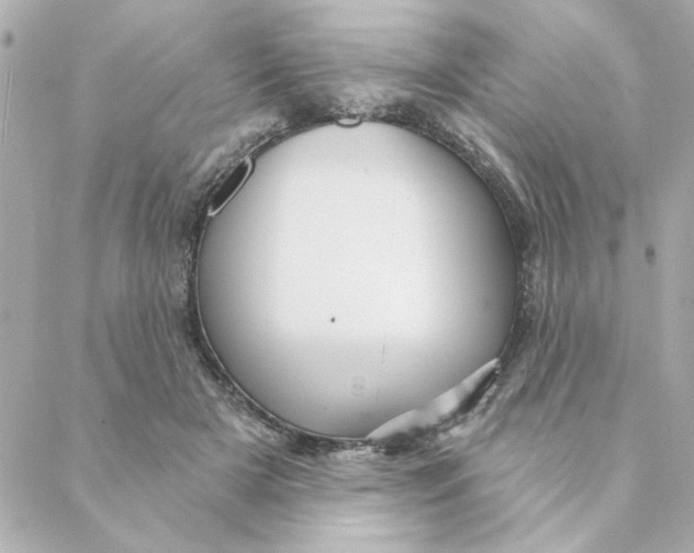 X0000088180505200706051145