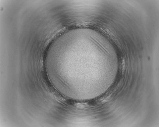 X0000088180508200706051145