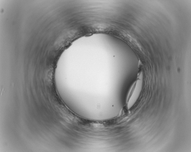 X0000088180509200706051145