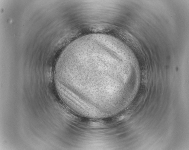 X0000088180510200706051145