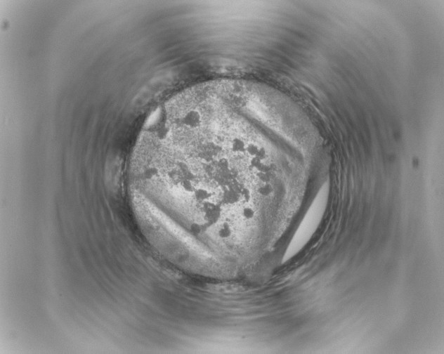 X0000088180511200706051145