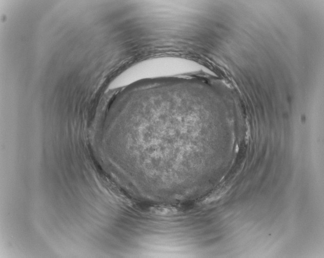 X0000088180512200706051145