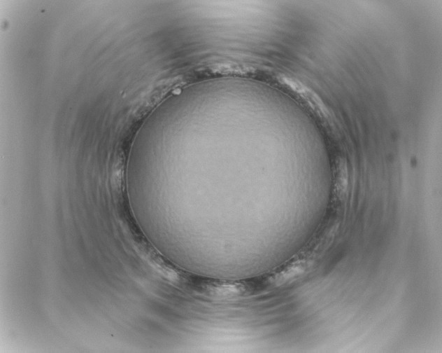 X0000088180513200706051145