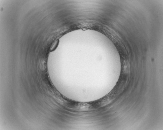 X0000088180514200706051145