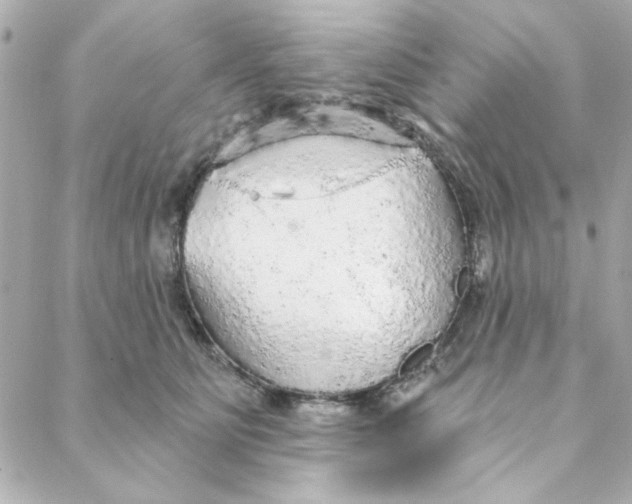 X0000088180515200706051145