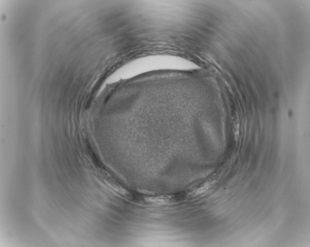 X0000088180516200706051145