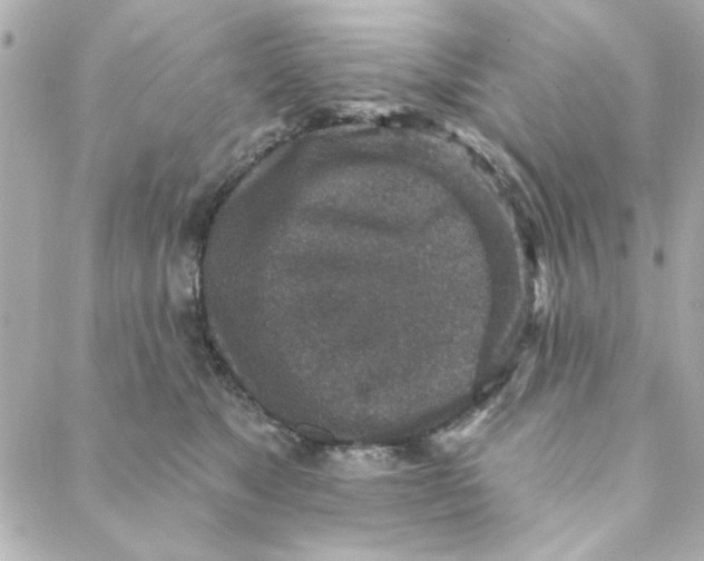 X0000088180517200706051145