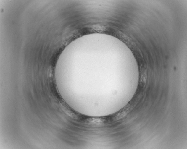 X0000088180518200706051145