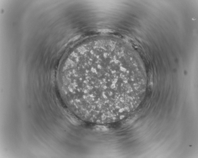 X0000088180519200706051145