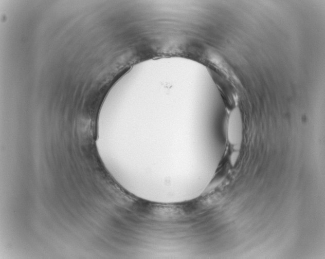 X0000088180521200706051145