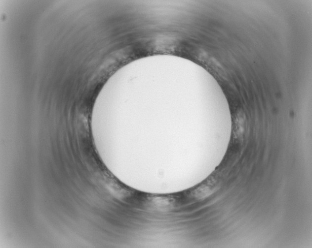 X0000088180522200706051145