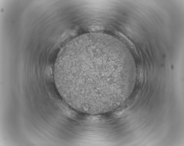 X0000088180523200706051145