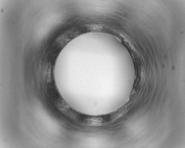 X0000088180525200706051145