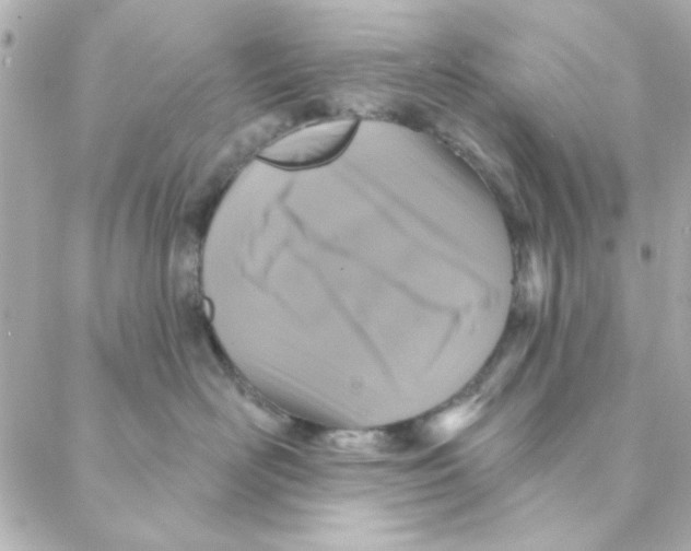 X0000088180526200706051145