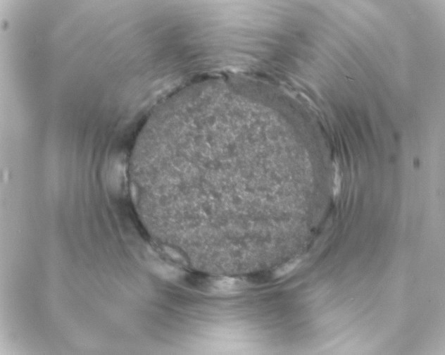 X0000088180527200706051145