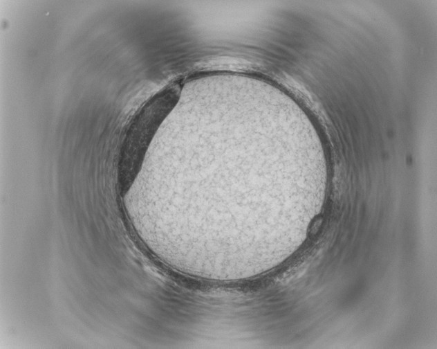 X0000088180529200706051144