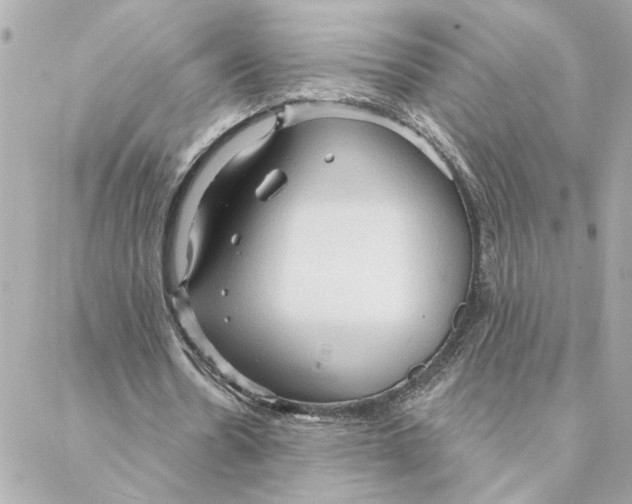 X0000088180530200706051144