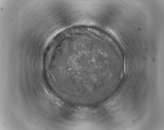 X0000088180531200706051144