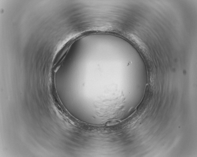 X0000088180532200706051144