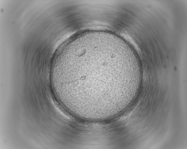 X0000088180533200706051144