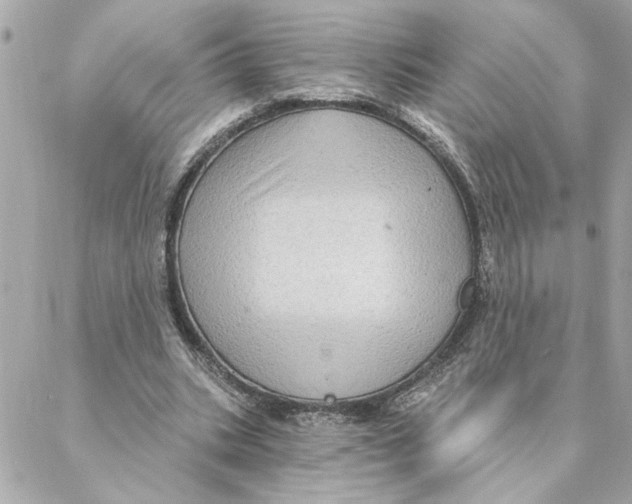 X0000088180535200706051144