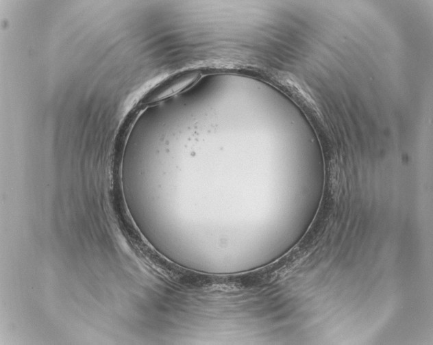 X0000088180536200706051144