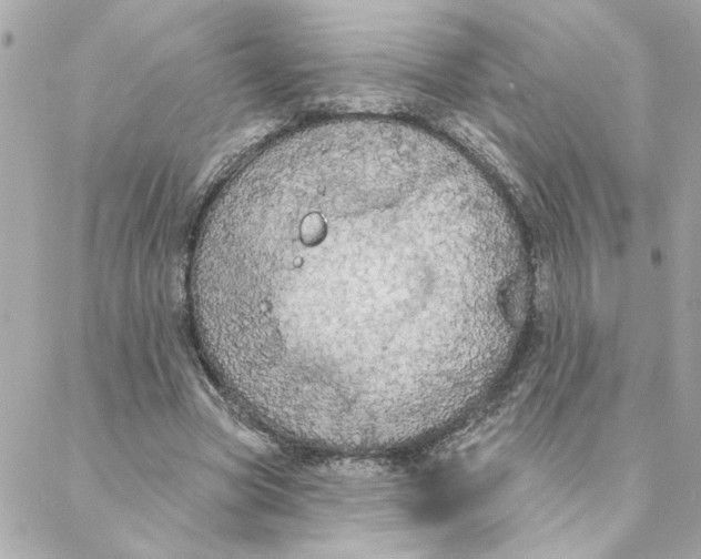 X0000088180537200706051144