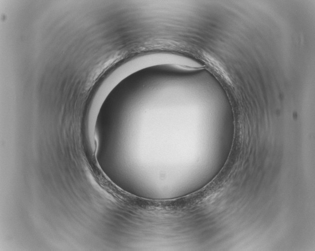 X0000088180538200706051144