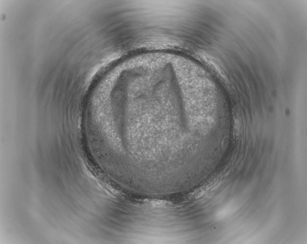 X0000088180539200706051144