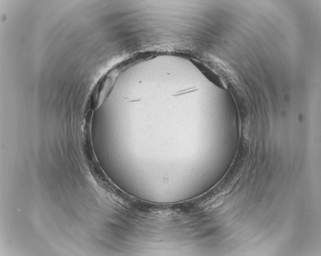 X0000088180540200706051144