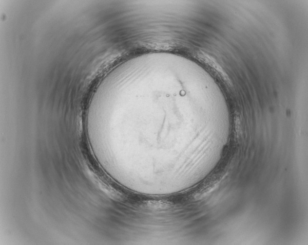 X0000088180541200706051144