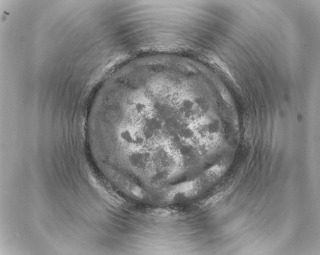 X0000088180542200706051144