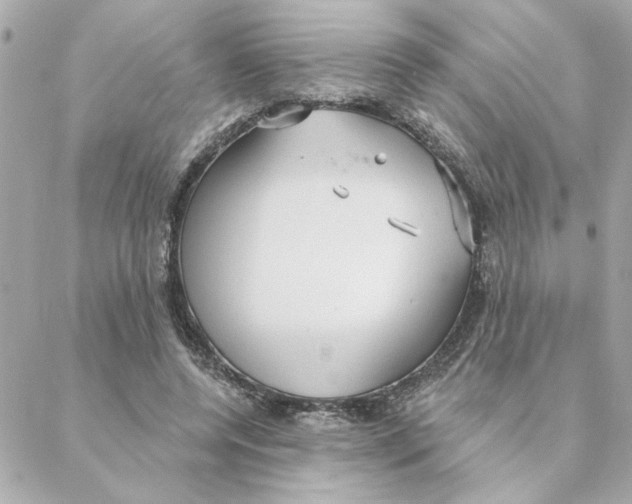 X0000088180544200706051144